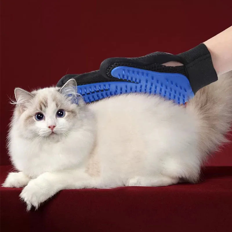 Blue silicone pet grooming glove with black wrist strap on a groomed cat