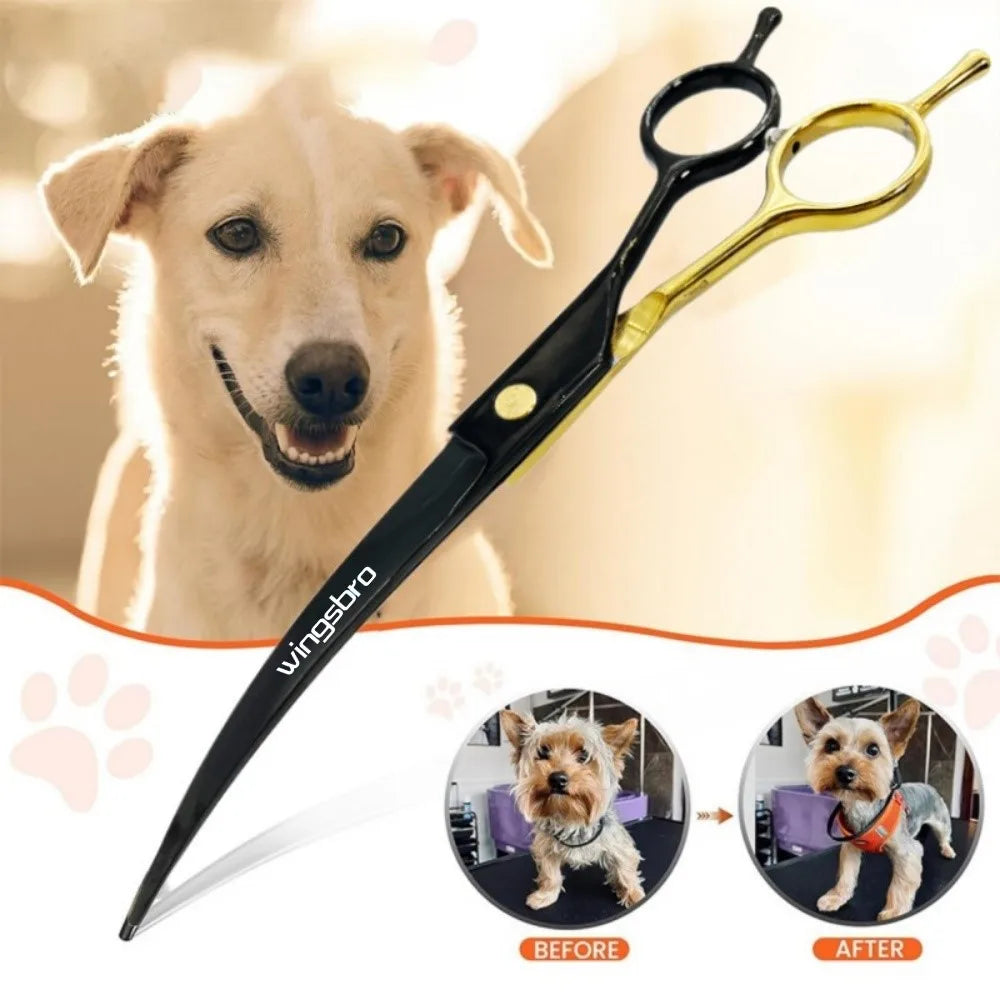 Curved pet grooming scissors beside a dog for before-and-after grooming