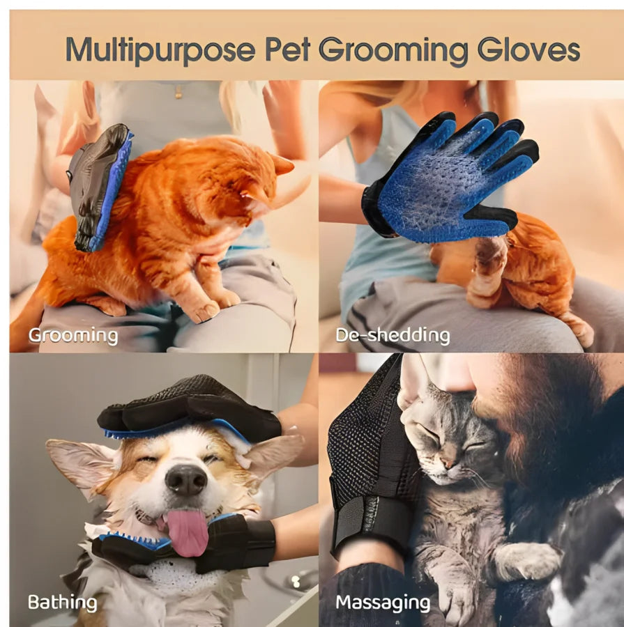Pet grooming gloves set with blue silicone massage nubs and black fabric cuff