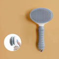 Gray stainless pet comb brush with round pin head and long handle