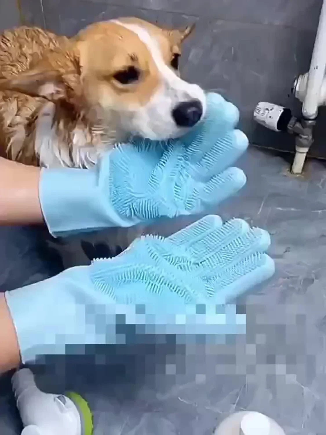 Pet Grooming Cleaning Gloves.