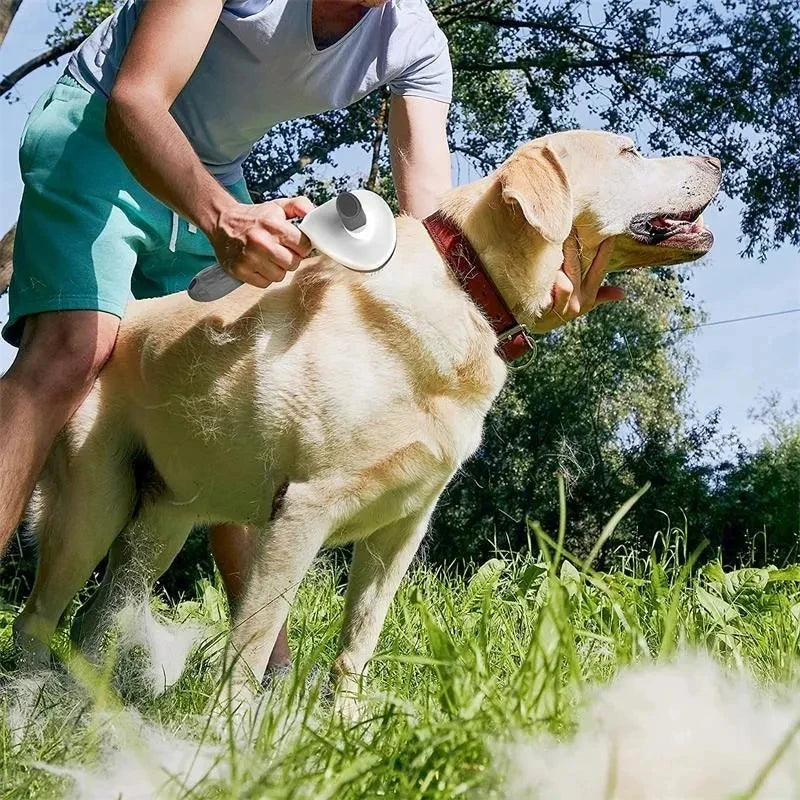 Dog Grooming Brush with Easy Clean Button.